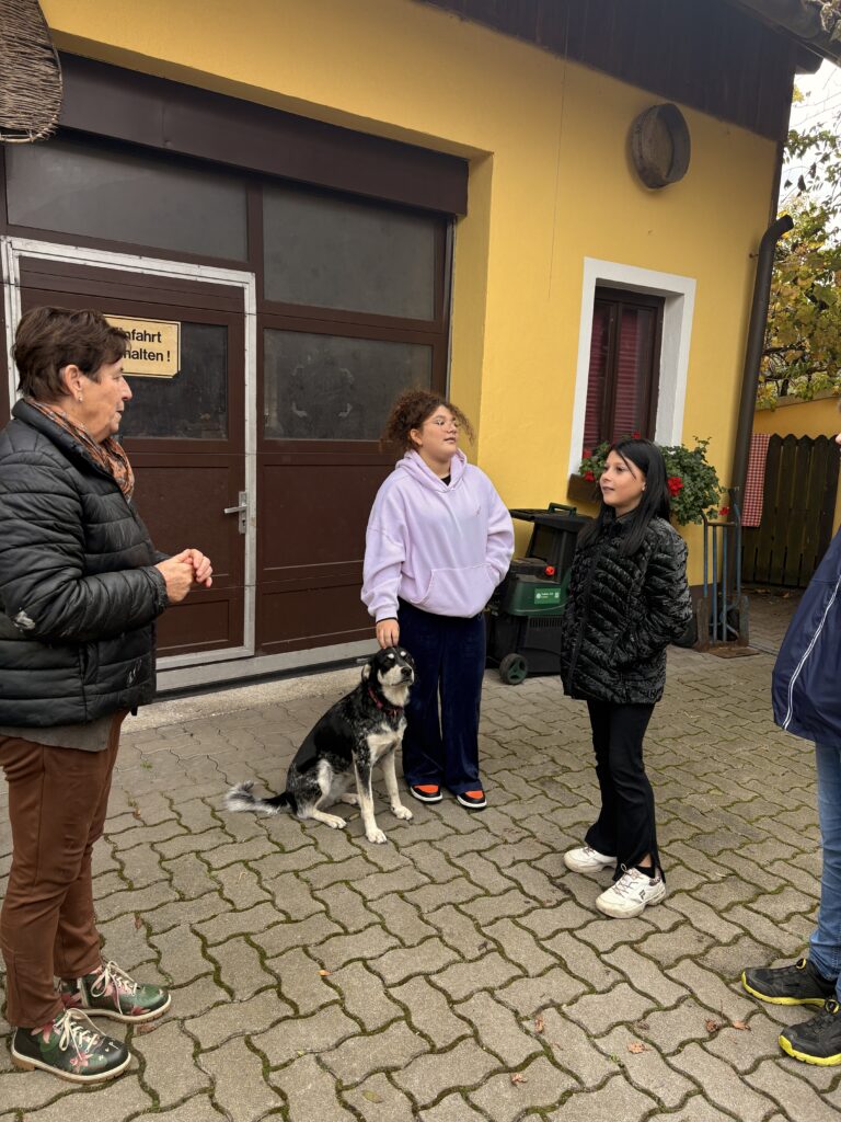 Besuch am Bauernhof Schifferl