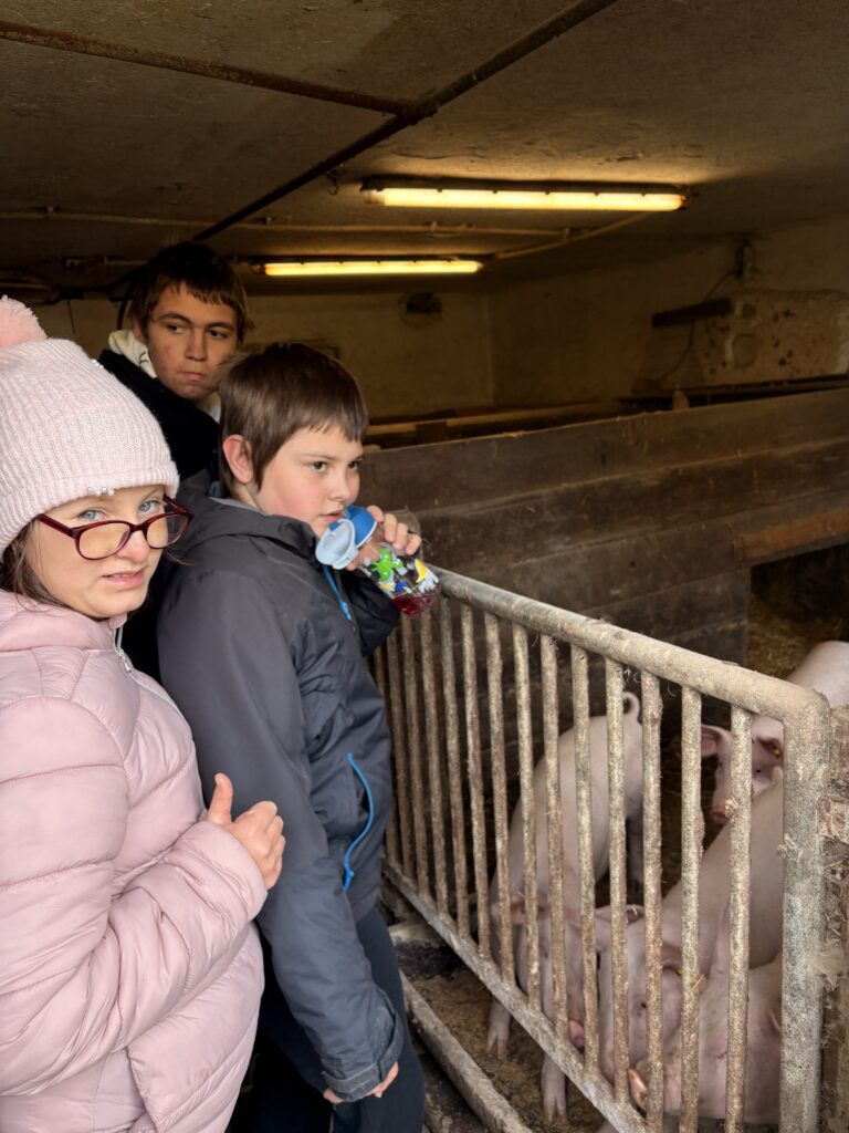 Besuch am Bauernhof Schifferl