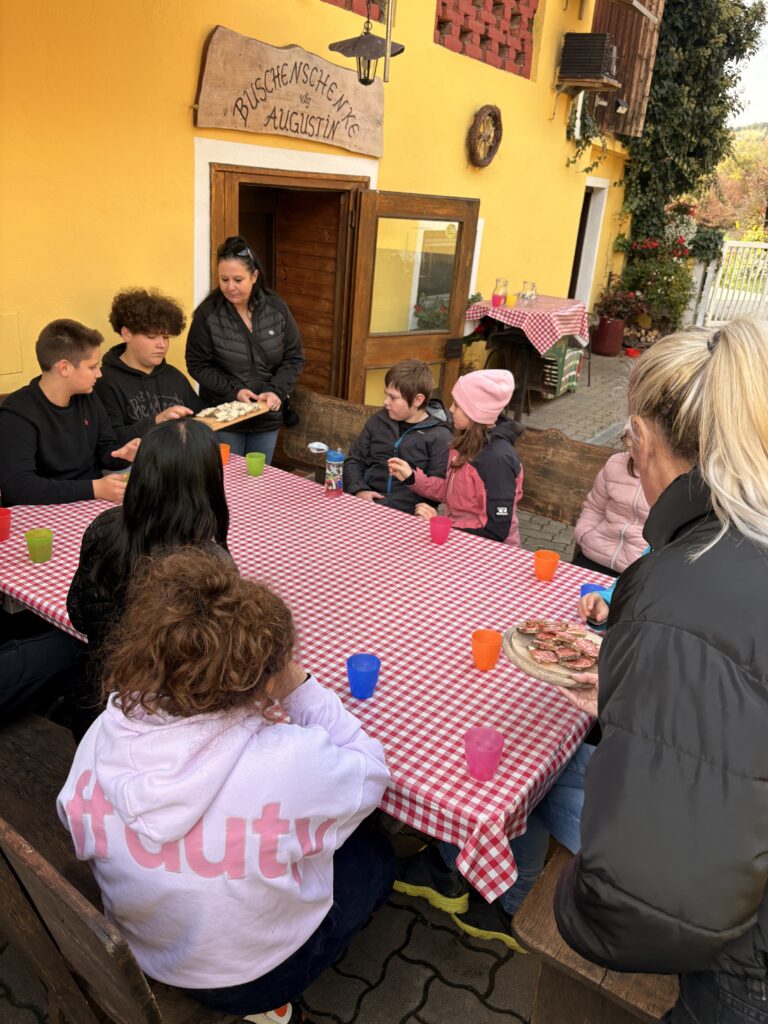 Besuch am Bauernhof Schifferl