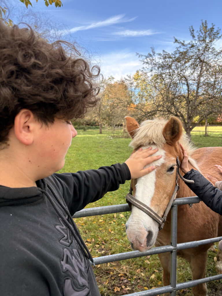 Besuch am Bauernhof Schifferl