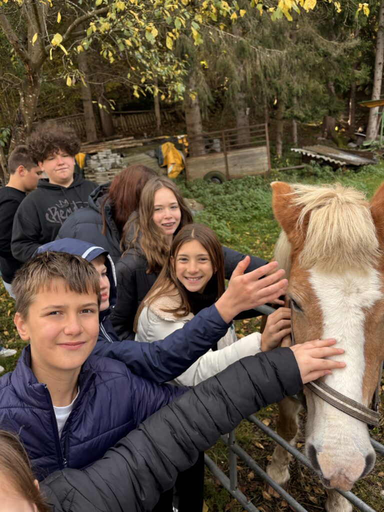 Besuch am Bauernhof Schifferl