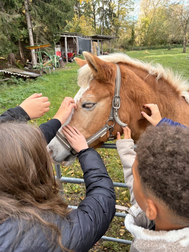 Besuch am Bauernhof Schifferl