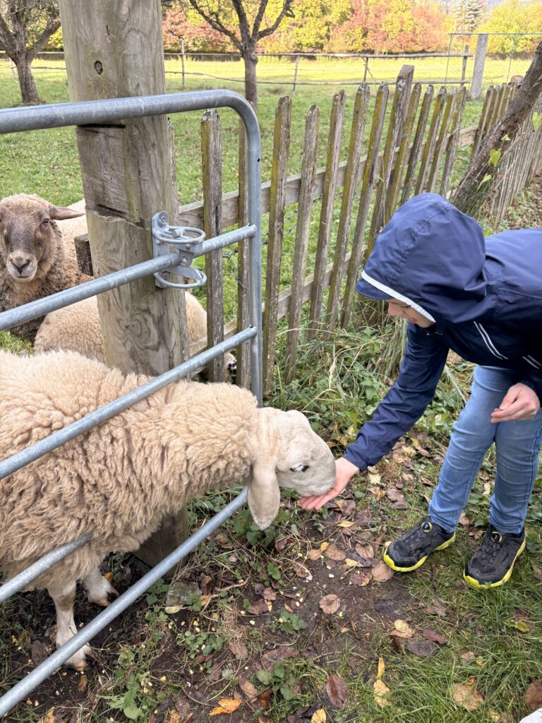 Besuch am Bauernhof Schifferl