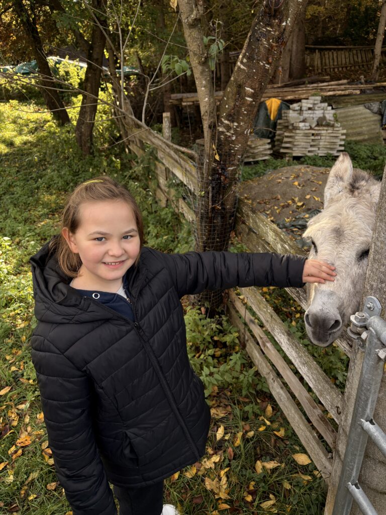 Besuch am Bauernhof Schifferl