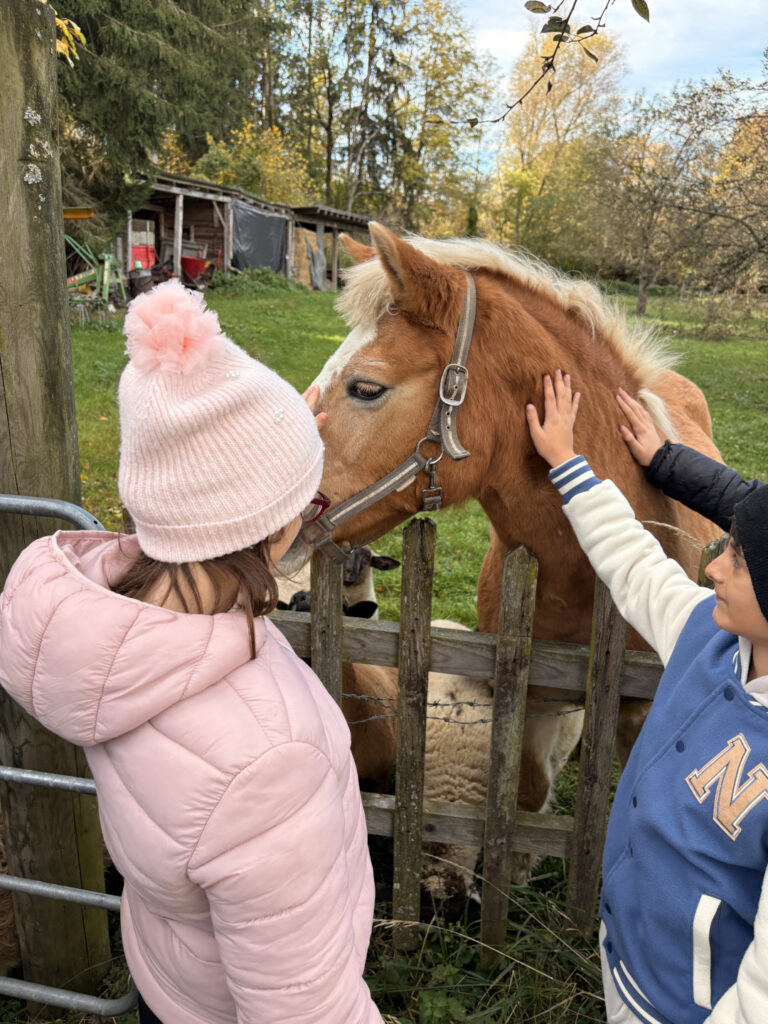 Besuch am Bauernhof Schifferl