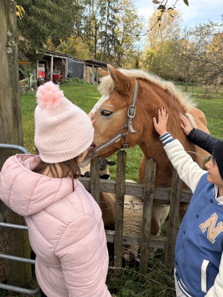 Besuch am Bauernhof Schifferl