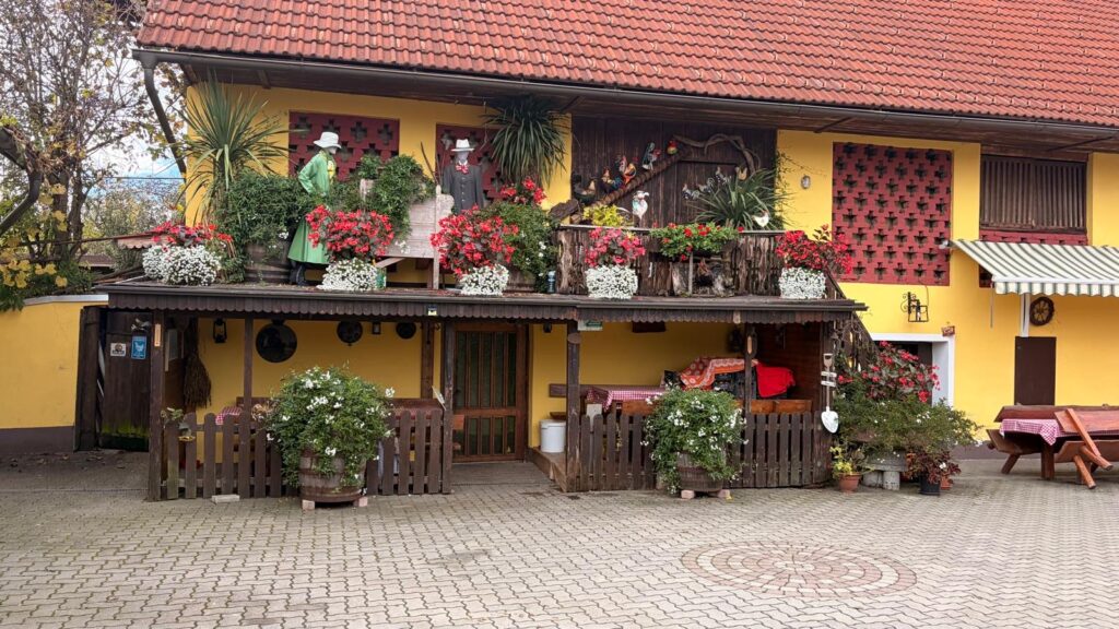 Besuch am Bauernhof Schifferl