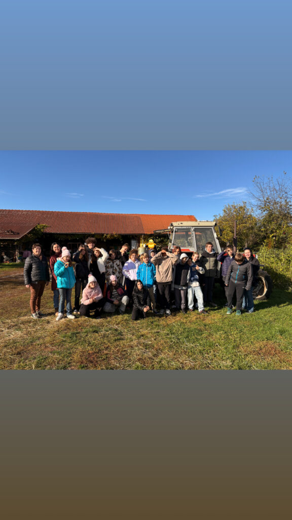 Besuch am Bauernhof Schifferl
