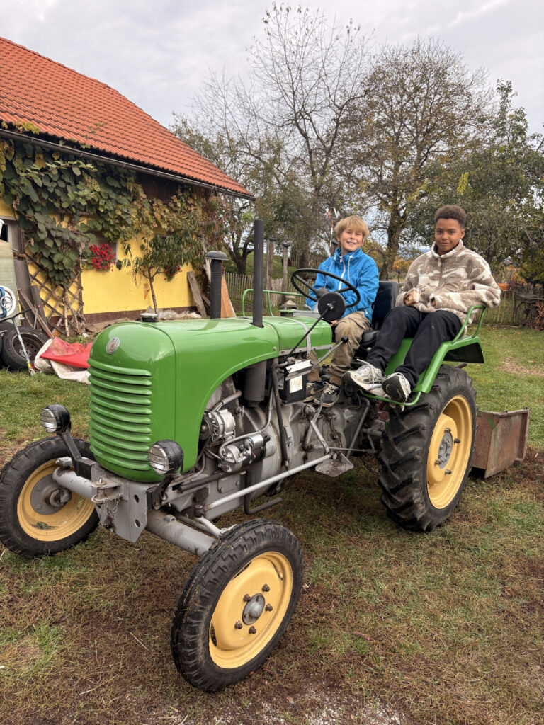 Besuch am Bauernhof Schifferl