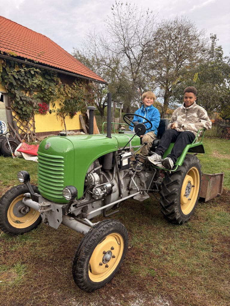 Besuch am Bauernhof Schifferl