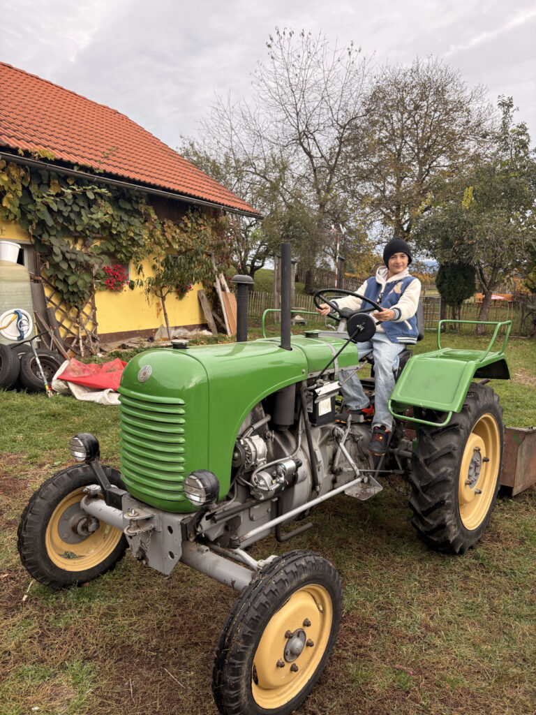 Besuch am Bauernhof Schifferl